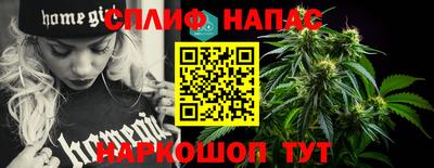 дживик Дубна