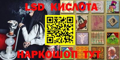 прущие грибы Донской