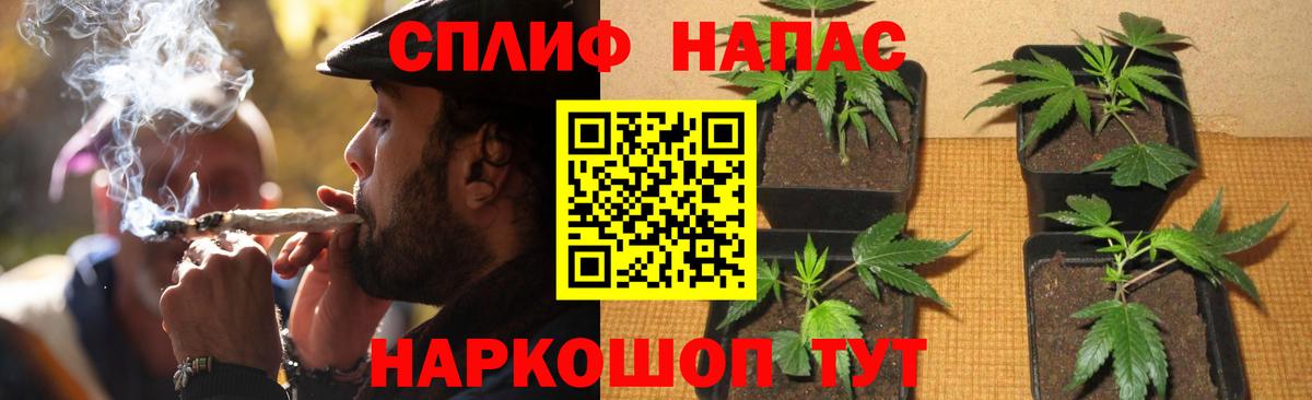 Луховицы  Бошки марихуана THC 21%  Вход с VPN  Марихуана Amnesia  Бошки Шишки планчик  Бошки Шишки MAZAR 